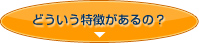 どういう特徴があるの？