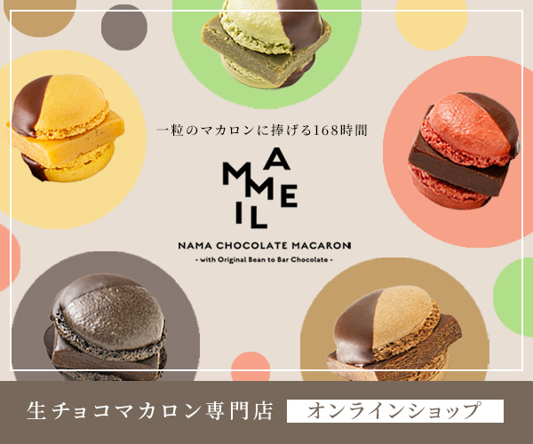 MAMEIL NAMA CHOCOLATE MACARON