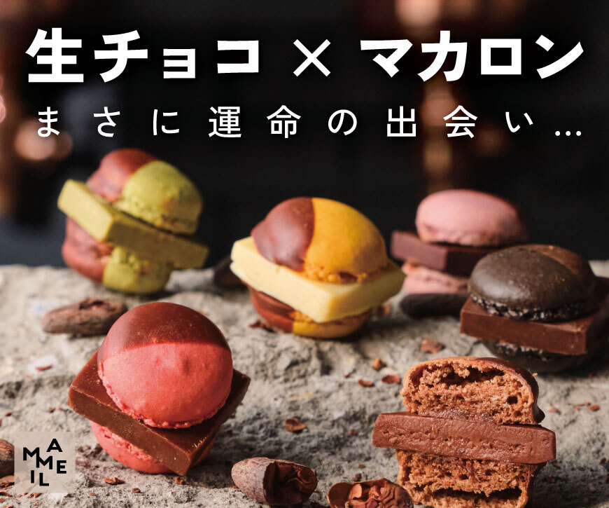 生チョコマカロン【MAMEIL NAMA CHOCOLATE MACARON】