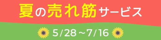 夏の売れ筋サービス特集