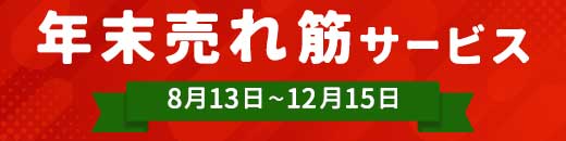 年末売れ筋サービス特集