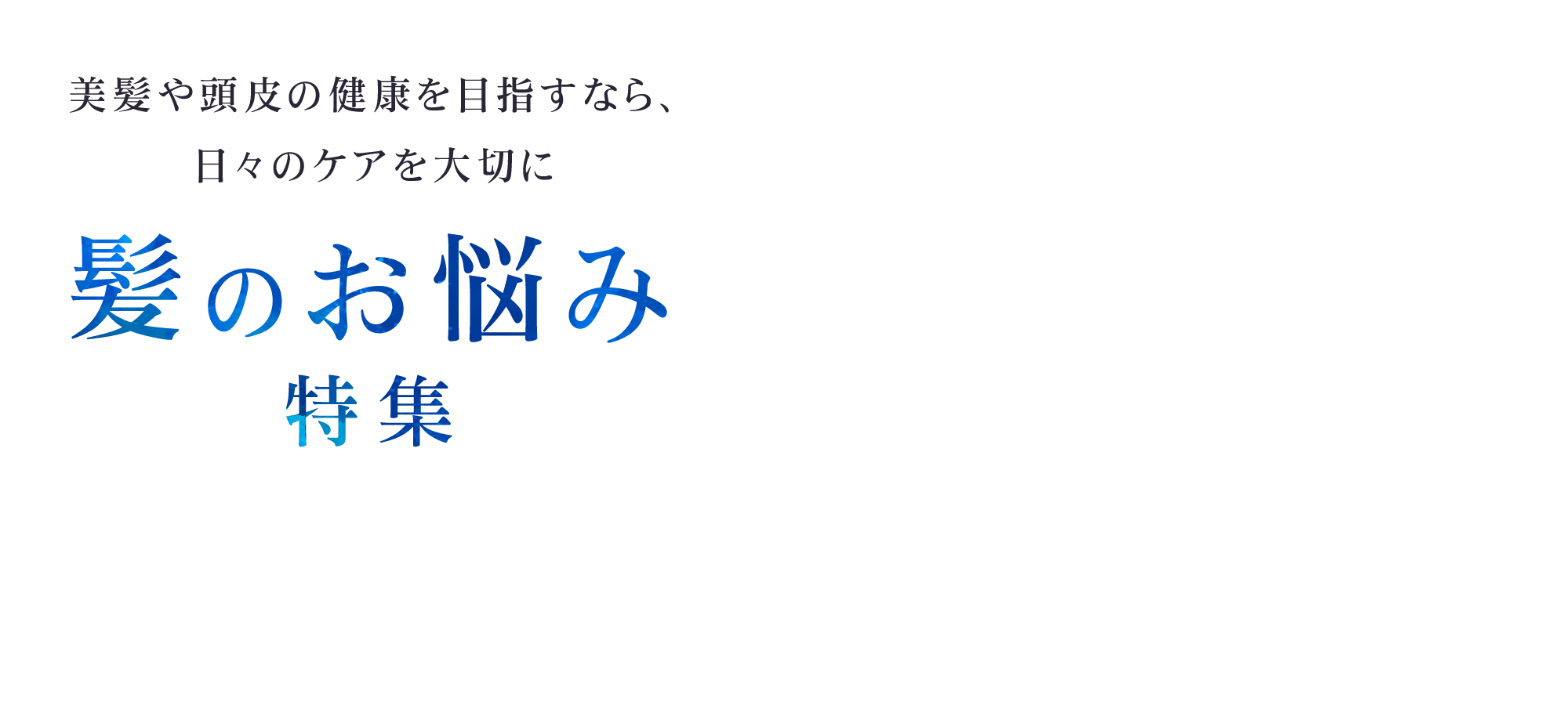 髪のお悩み特集