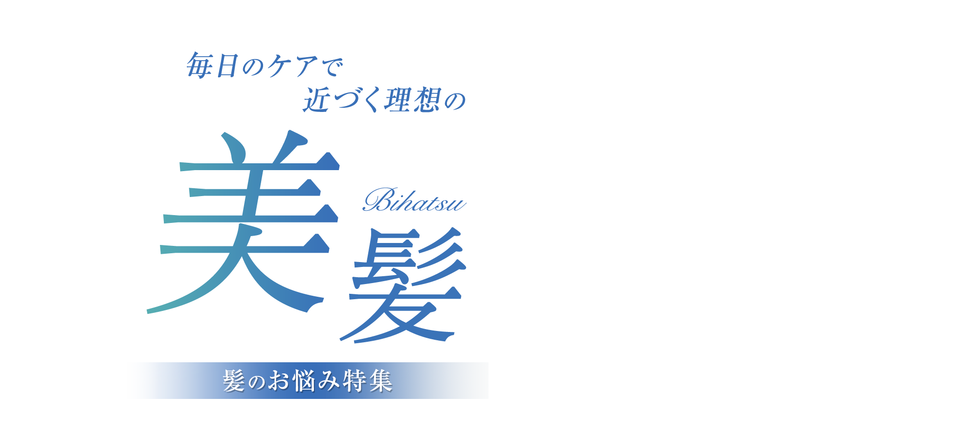 毎日のケアで近づく理想の美髪。髪のお悩み特集